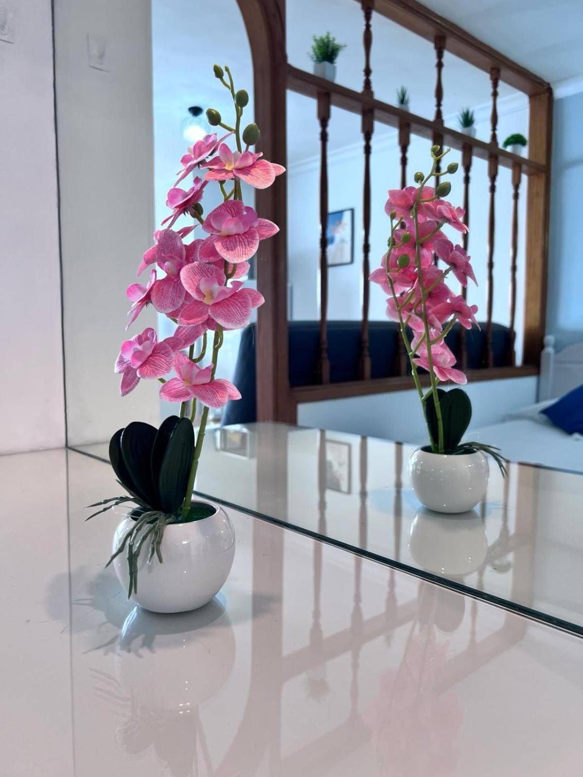 Apartamento-Estudio En La Playa パタラバカ エクステリア 写真